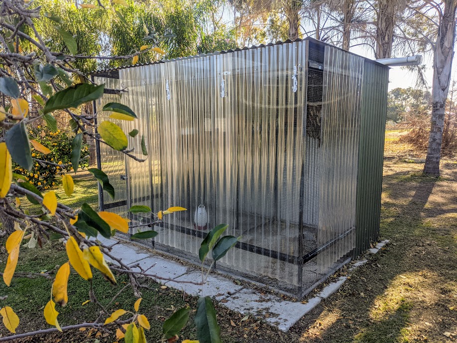 Keeping your birds warm in winter