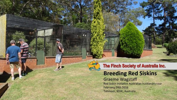 Graeme Wagstaf’s aviaries on the Red Siskin husbandry tour