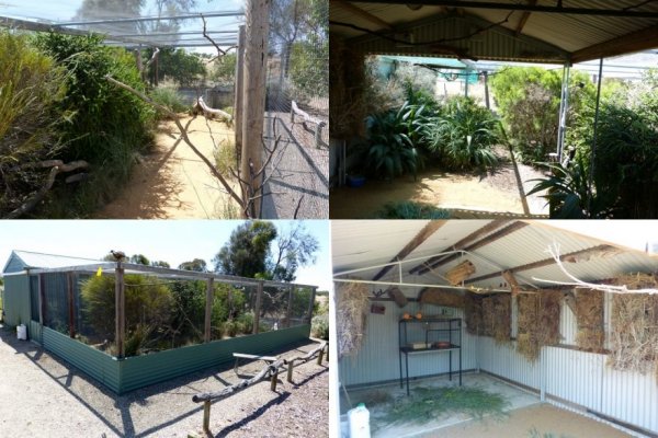 A look at some great finch aviaries