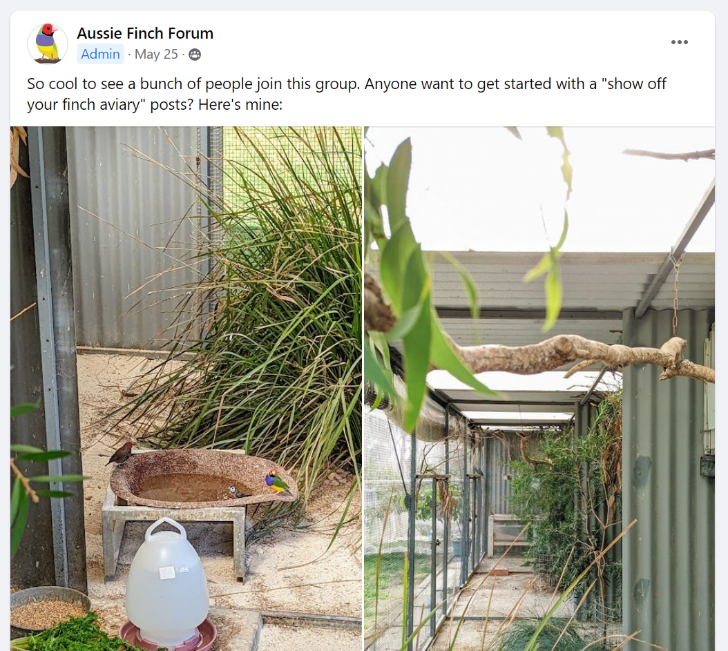 Aussie Finch Forum Facebook discussion group